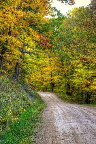 A Colorful Country Drive