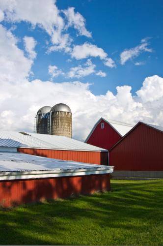 A Farm In The Clouds