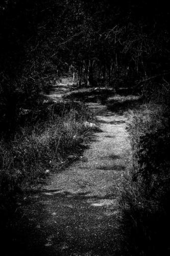 A Path Through The Darkness