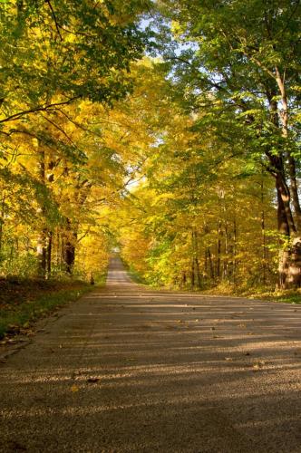 An Autumn Drive