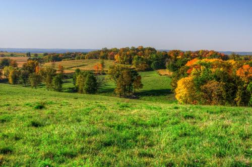 Autumn Fields and Trees