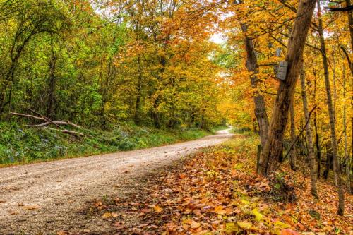 Autumn Gravel Road