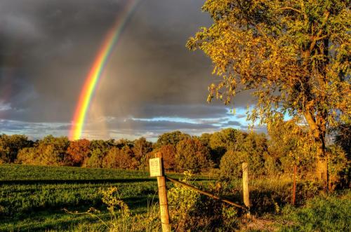 Autumn Rainbows