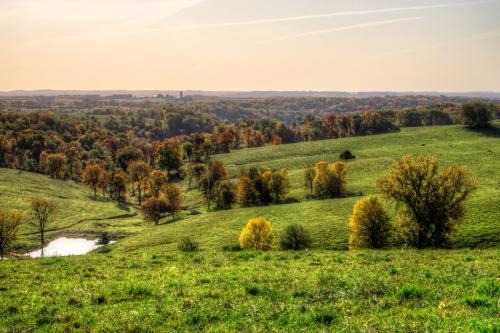 Autumn Views