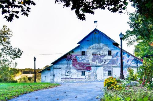 Balloon Barn