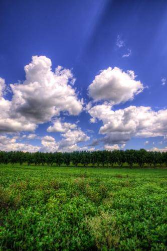 Beaming Down The Clouds