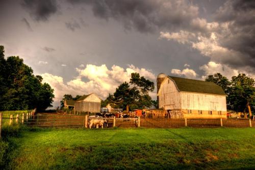 Clearing Storm Farm