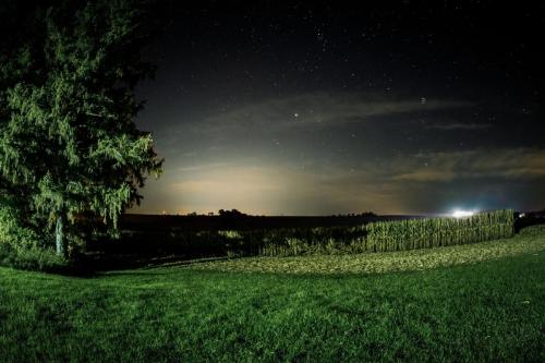 Corn Stars