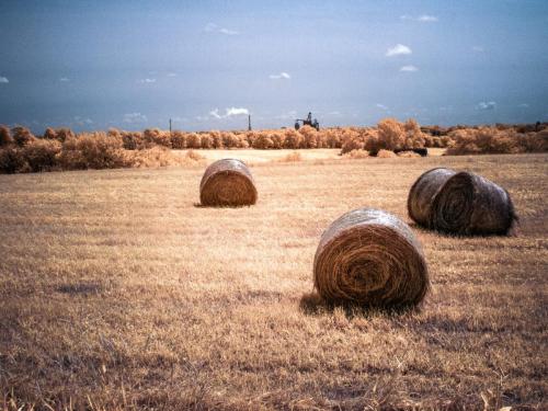 Country Bales