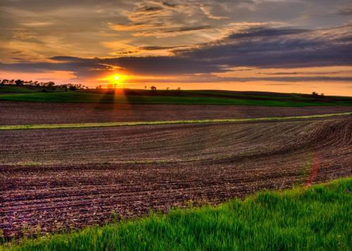 Country Road Sunset