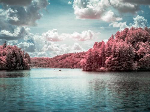 Cox Hollow Lake  - Summer Infrared