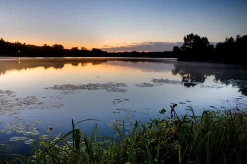 Dawn at Beckman Lake