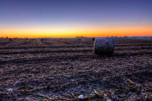 Daybreak Bales