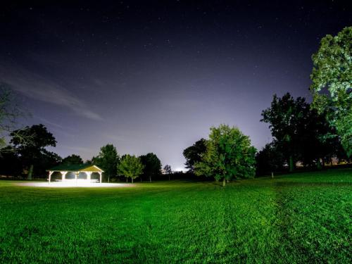 Evening in the Park