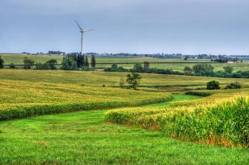 Farm Field Path