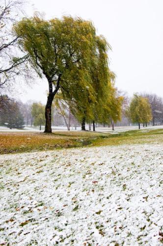 First Snow of the Season - November 2011