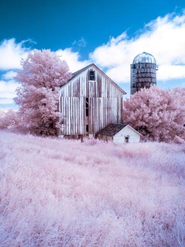 Forgotten Farm - Infrared