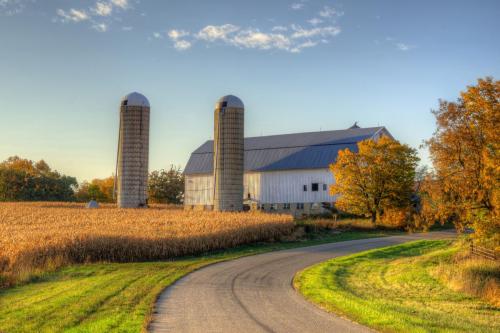 Golden Fall Farm on the Corner