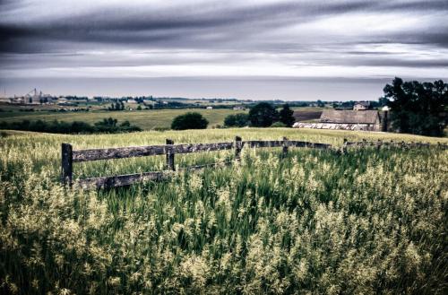 Grainy Old Fence