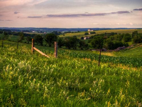 Green Country Views