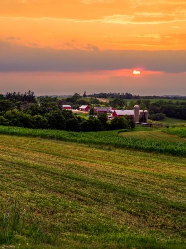 Green County Farm Sunset