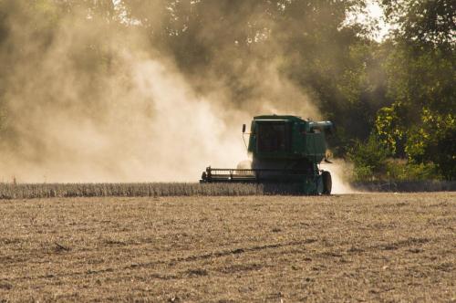 Harvesting the Dust