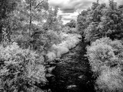 Honey Creek Infrared