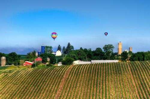 Hot Air Balloons Over A Farm In Southern Wisconsin