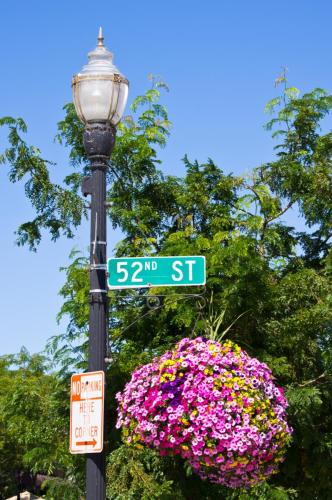 Kenosha Light Post and Flowers