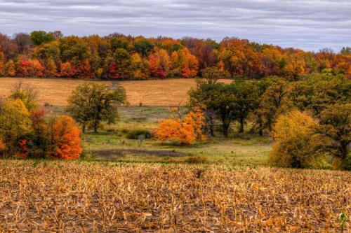 Layers Of Autumn Under A Gloomy Sky