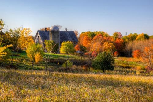 Nature Painted Farm