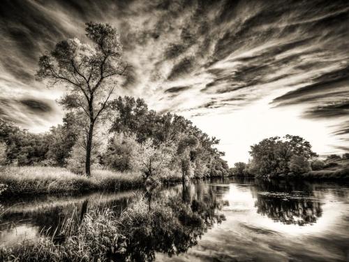 Pecatonica River Reflections