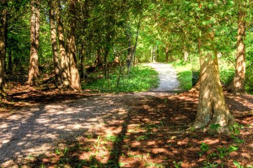 Peoples Park Trail