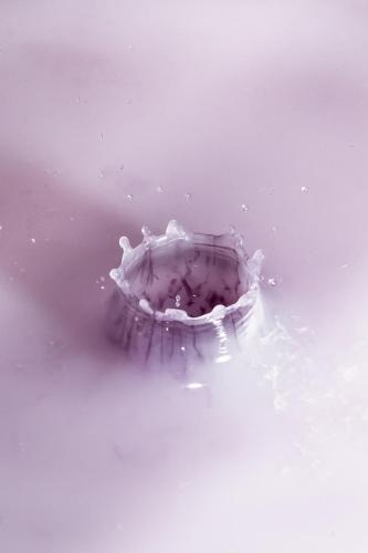 Purple Crown Splash