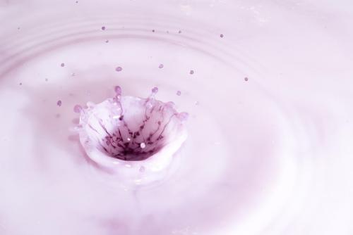 Purple Splash on White