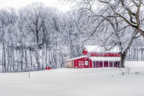 Red Barn on Winter White