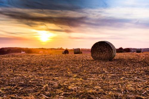 Round Bale Sunset