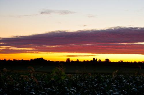 Rural Horizon Sunrise Glow