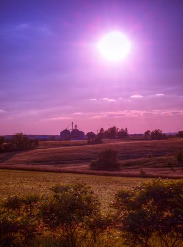 Rural Purple Haze