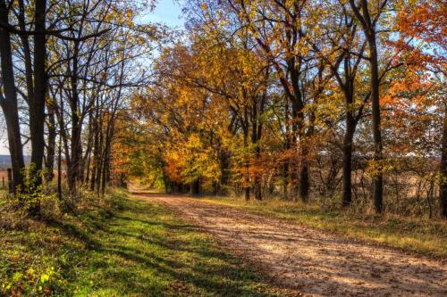 Single Lane Country Road - Autumn