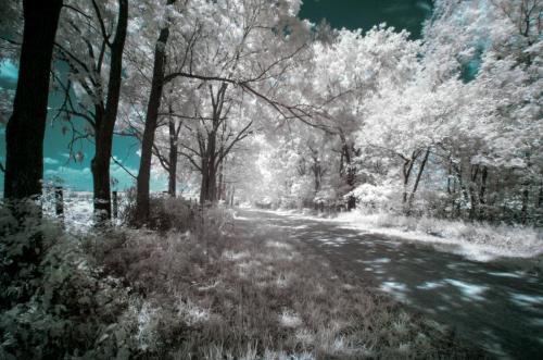 Single Lane Country Road - Infrared