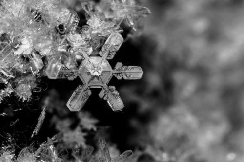 Snowflake Bokeh