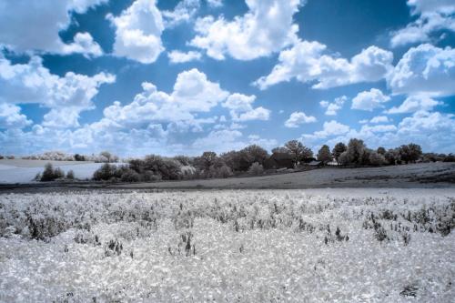 Soybean Farm Infrared