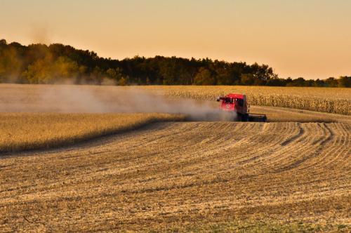 Soybeans