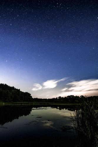 Stars over Moonlit Zander