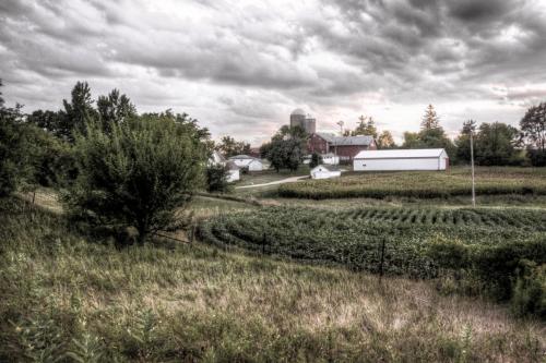 Stormy Day Farm