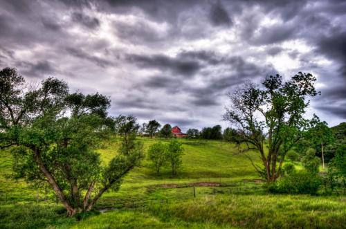 Stormy Farm in the Trees