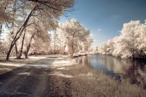 Sugar River Path - Infrared