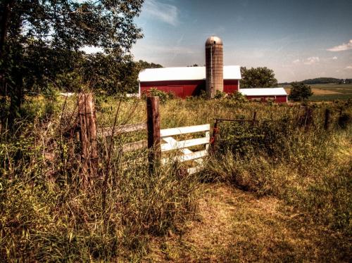 Summer Fenced Rural Barn