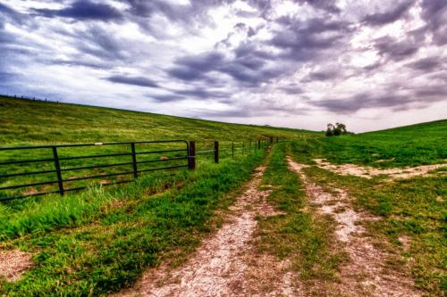 Summer Storm Fence